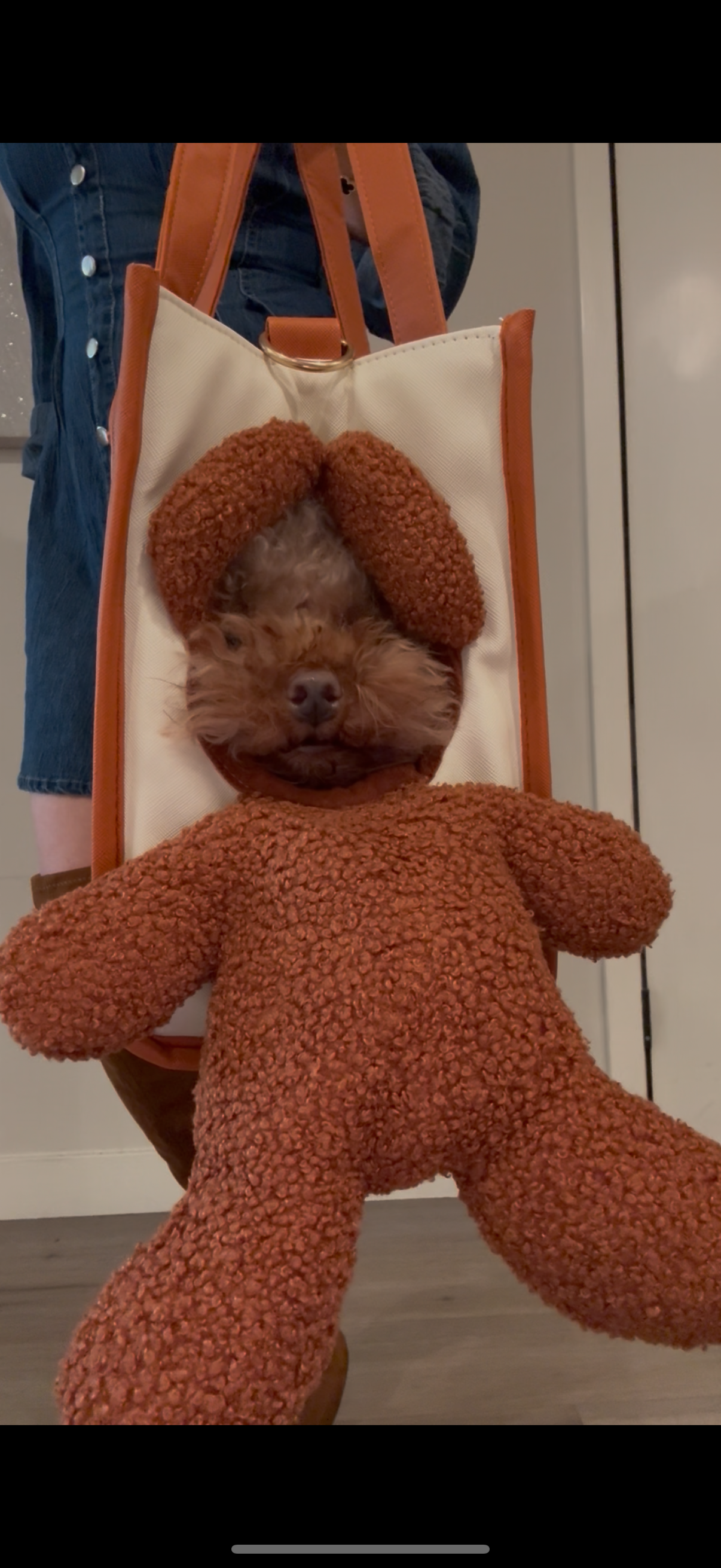 Peek-a-Boo Dog & Cat Purse for Small/Medium Pets – Travel Carrier with Leash Clip & Peek Window Viral on TikTok!