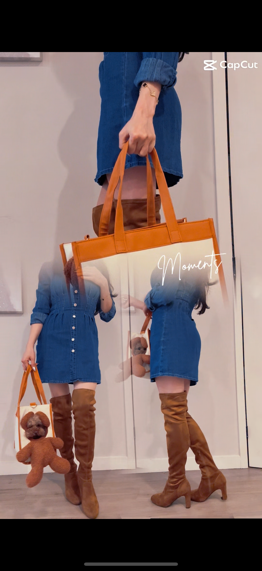 Peek-a-Boo Dog & Cat Purse for Small/Medium Pets – Travel Carrier with Leash Clip & Peek Window Viral on TikTok!