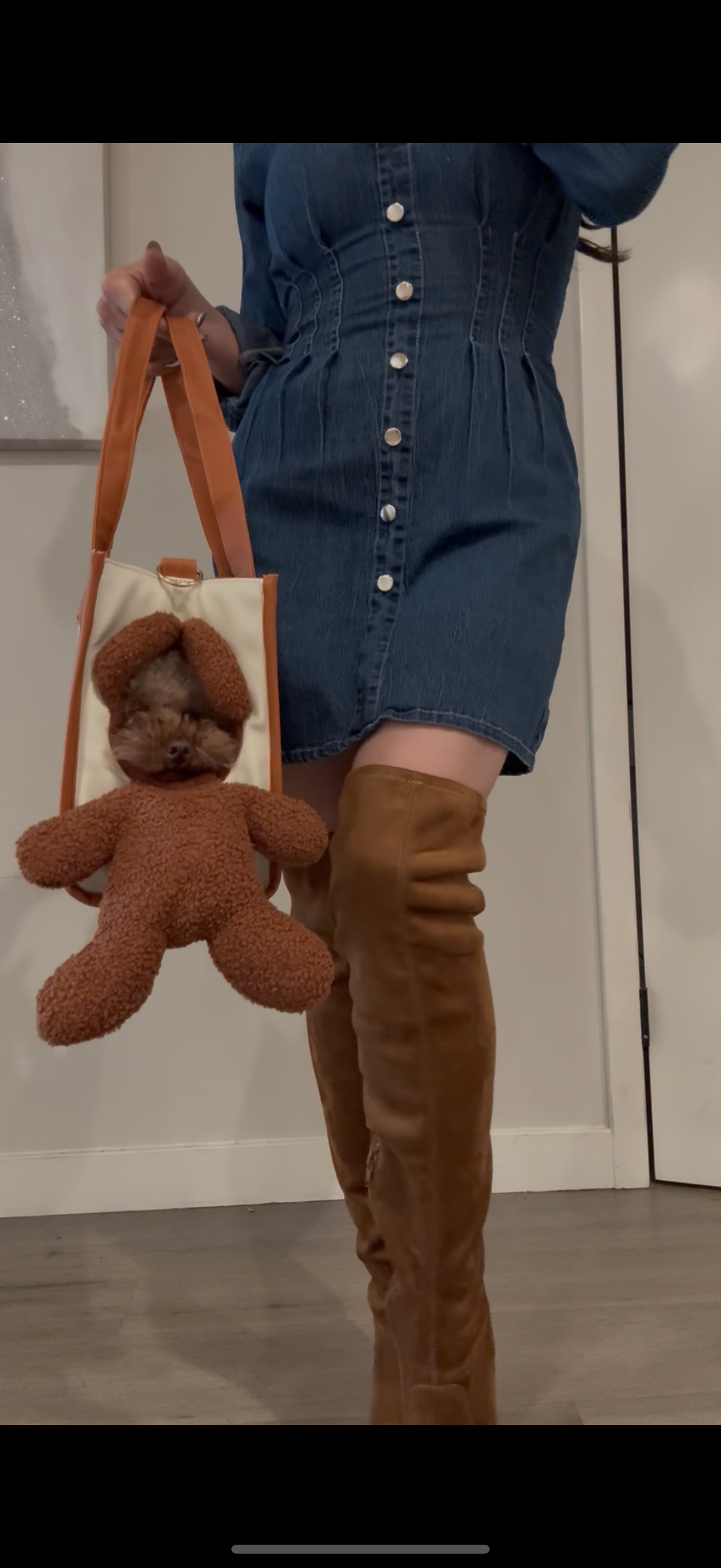 Peek-a-Boo Dog & Cat Purse for Small/Medium Pets – Travel Carrier with Leash Clip & Peek Window Viral on TikTok!