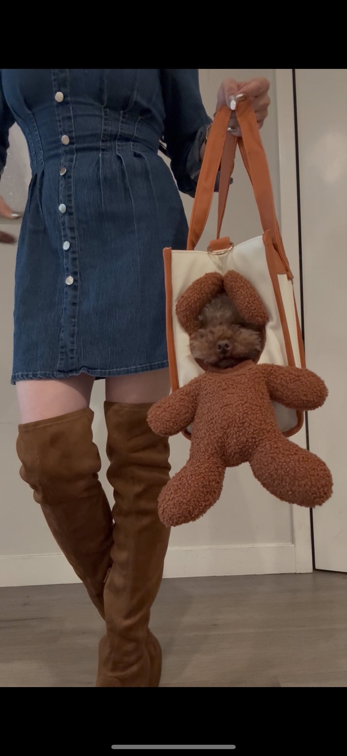 Peek-a-Boo Dog & Cat Purse for Small/Medium Pets – Travel Carrier with Leash Clip & Peek Window Viral on TikTok!